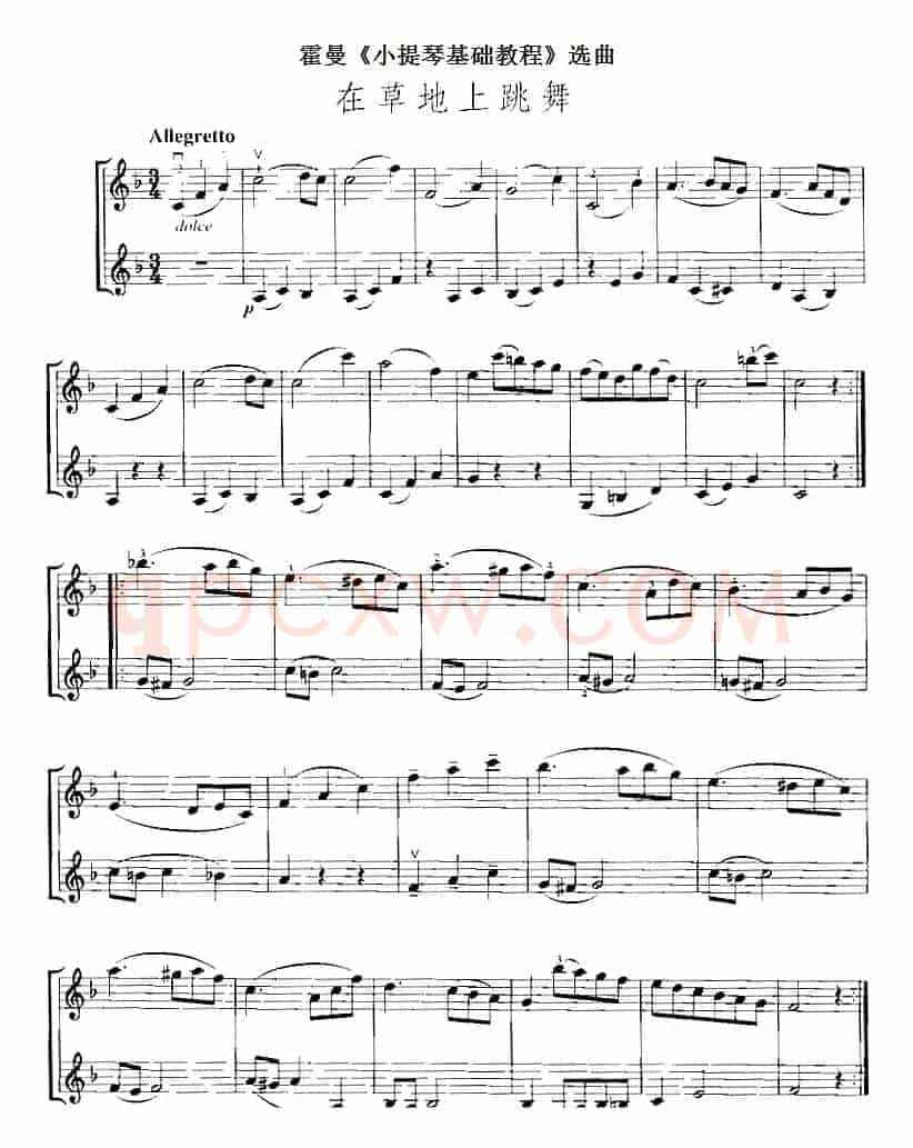 霍曼《小提琴基础教程》选曲：在草地上跳舞（二重奏）