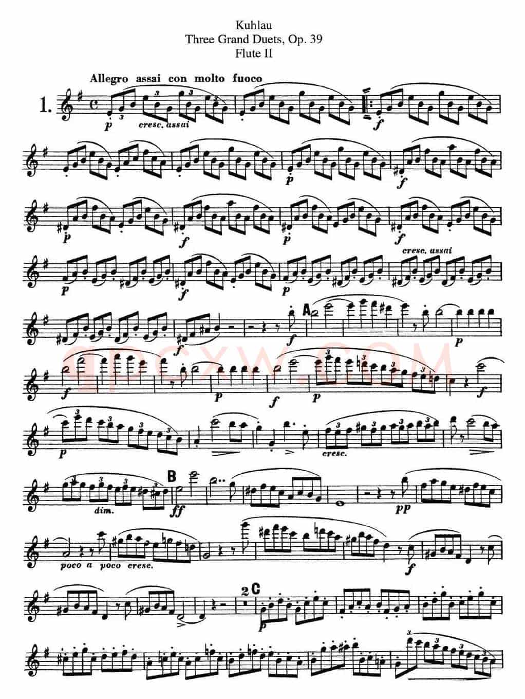 库劳长笛二重奏大练习曲Op.39——Flute 2（No.1）