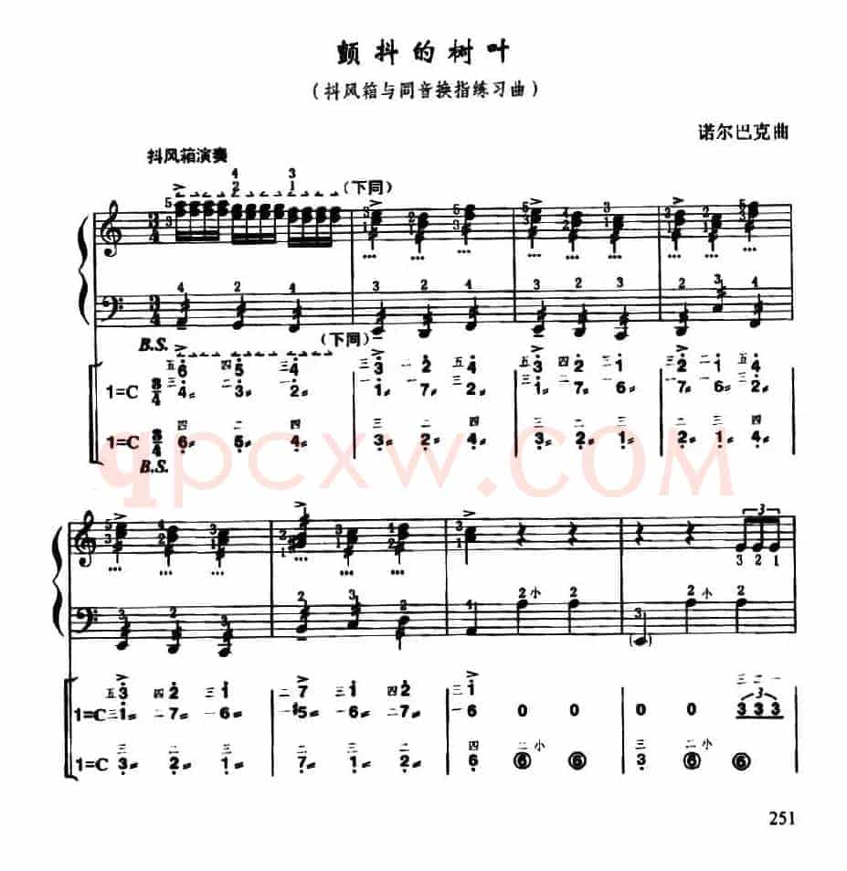 颤抖的树叶（线简谱对照、带指法版）