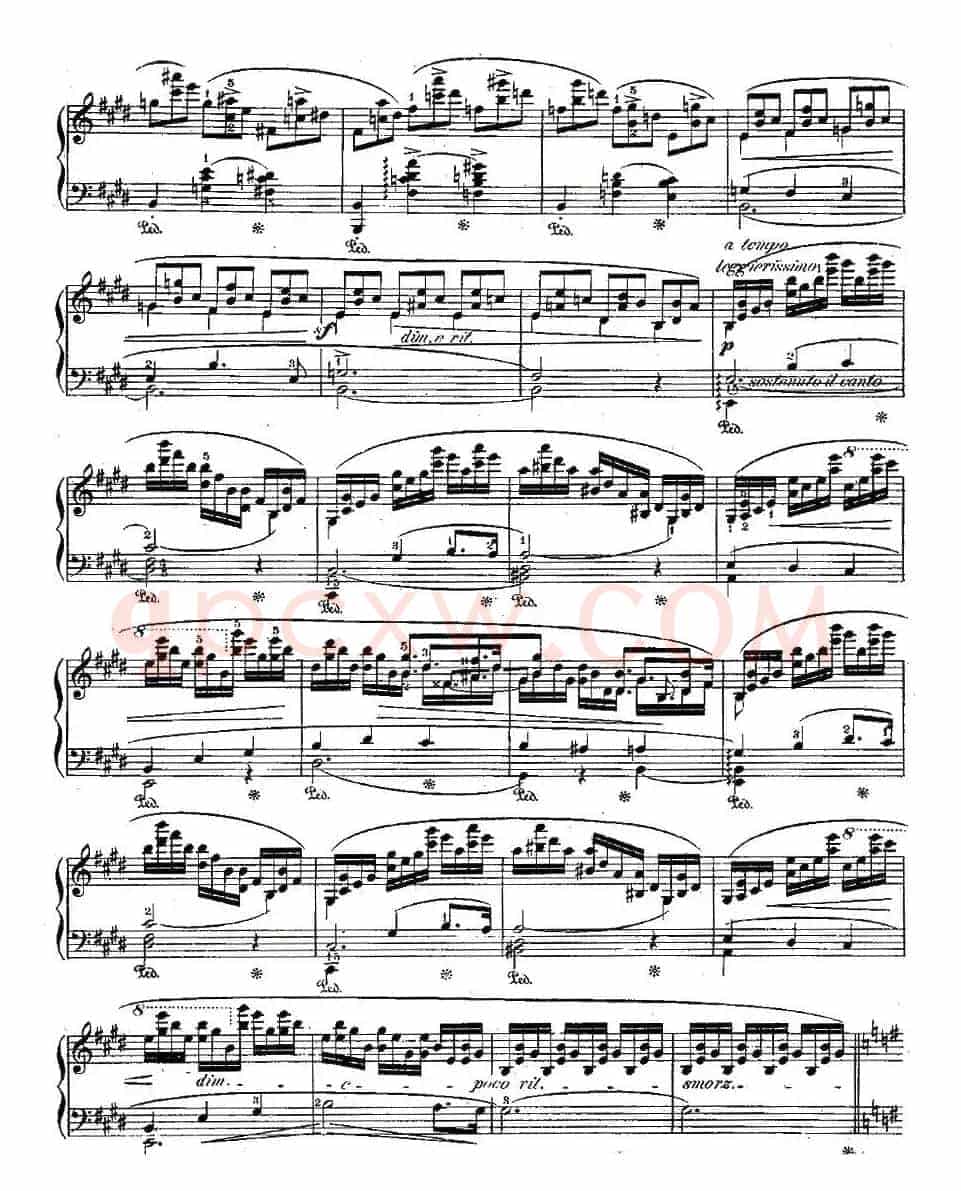 肖邦钢琴练习曲，Op.25之五