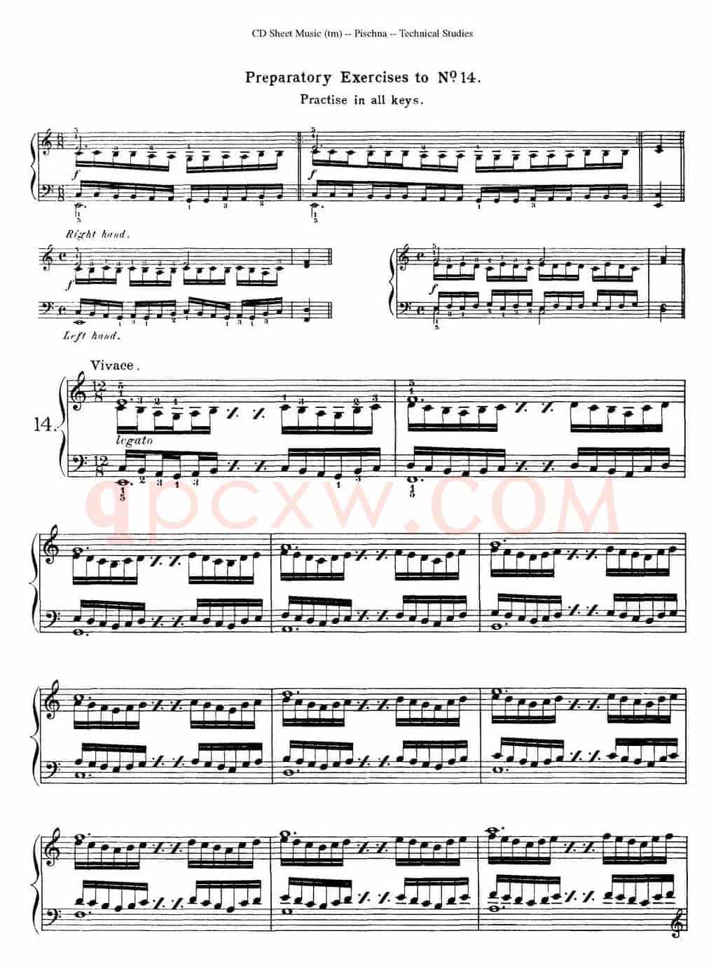 Technical Studies 60 Progressive Exercises (60首钢琴循序渐进练习曲 P21——30)