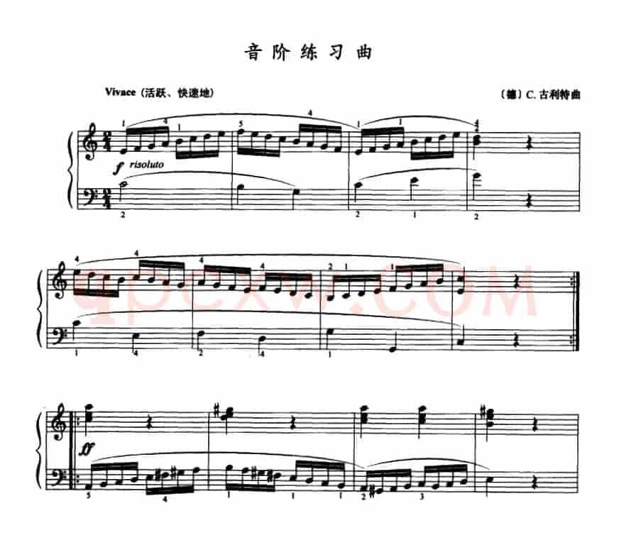 音阶练习曲