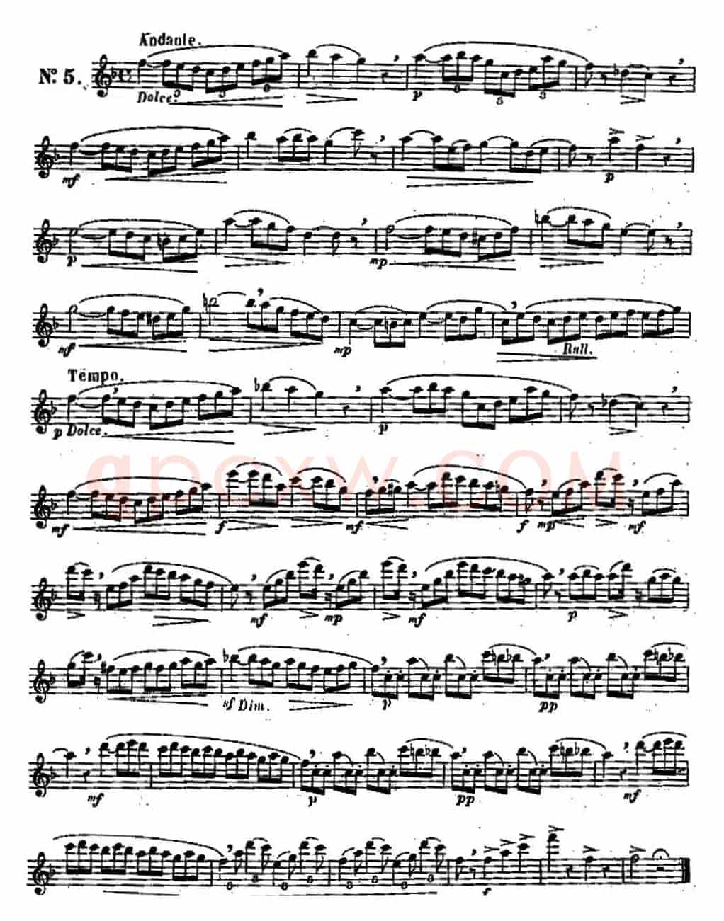 二十首练习曲作品131号（NO.5）