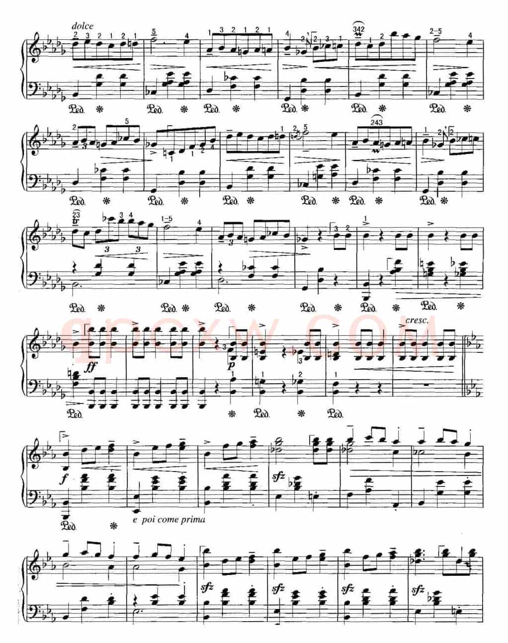 不可不弹的世界钢琴名曲：辉煌的大圆舞曲