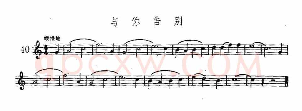 与你告别