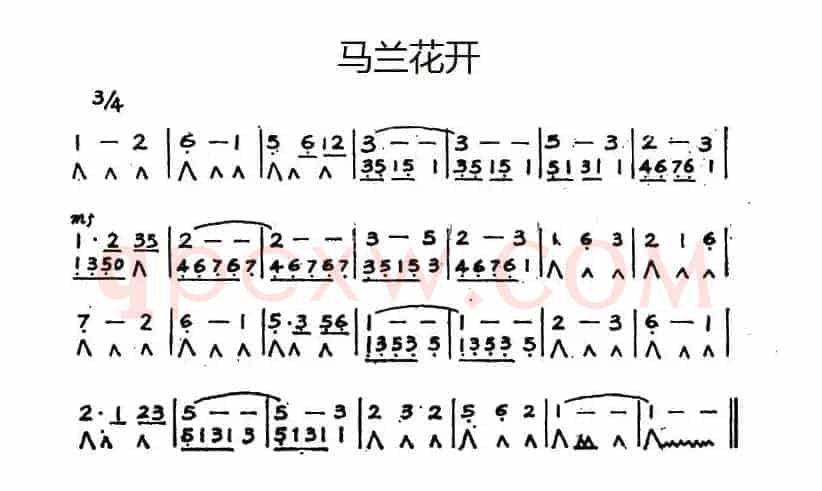 马兰花开