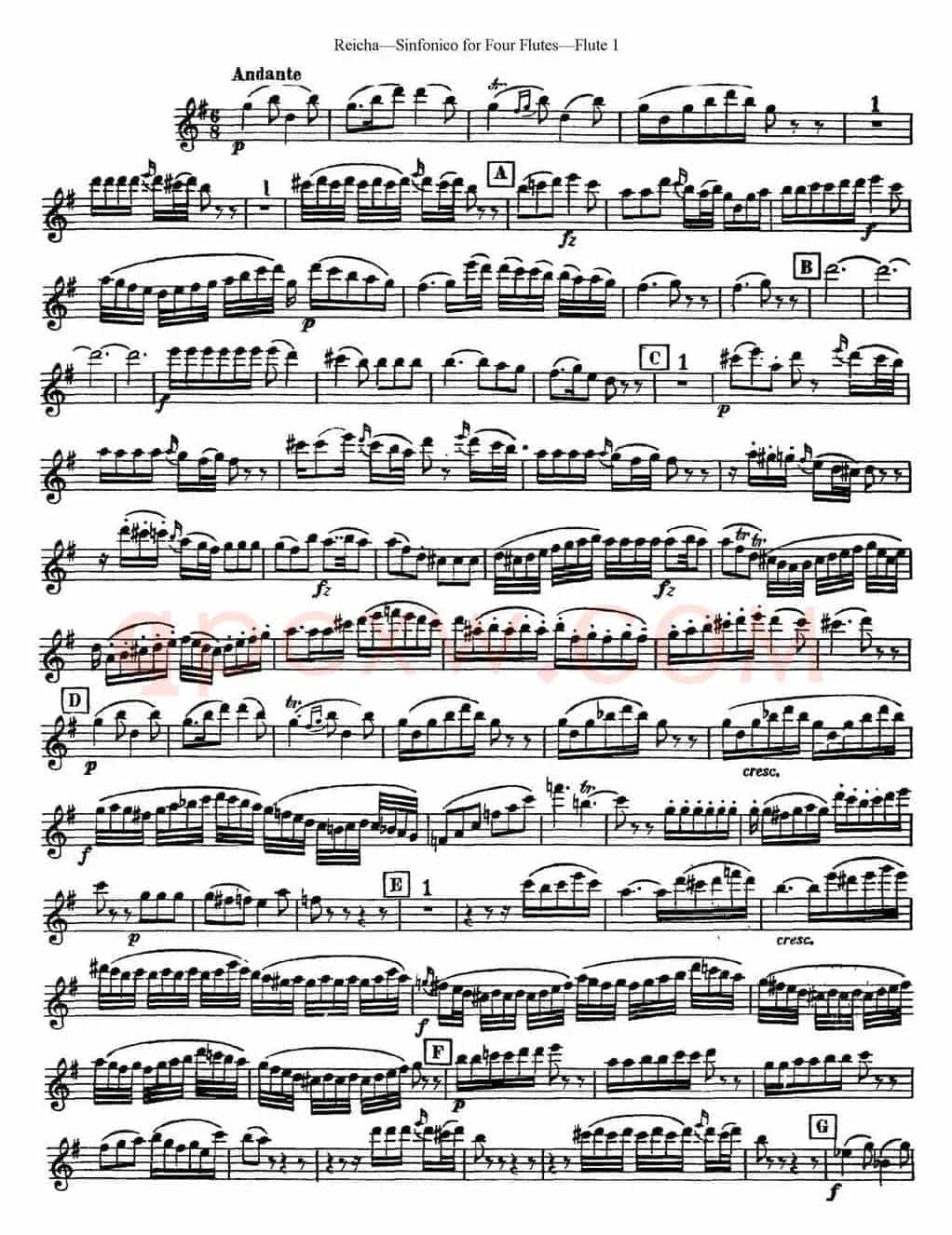 瑞查长笛四重奏（Flute 1）
