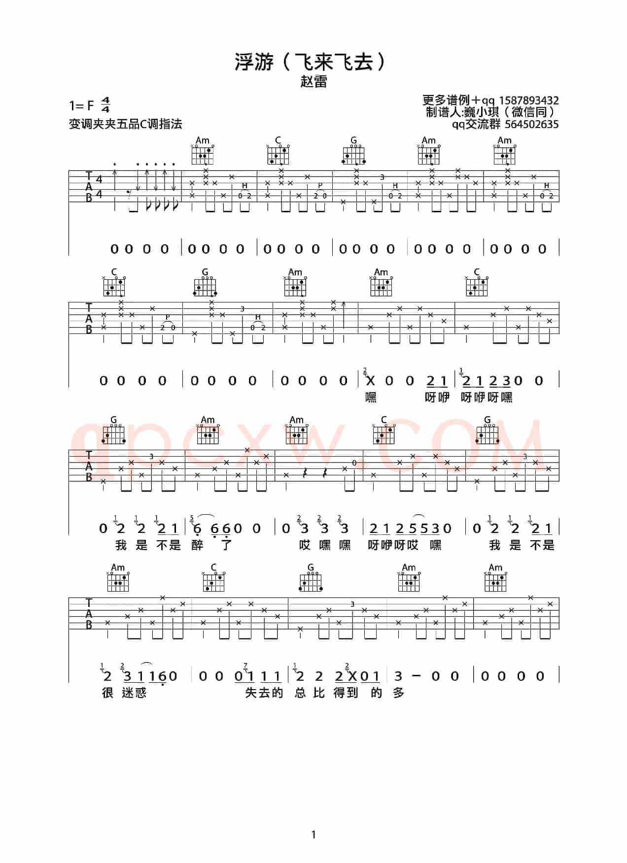 浮游（赵雷词曲、巍小琪制谱版）