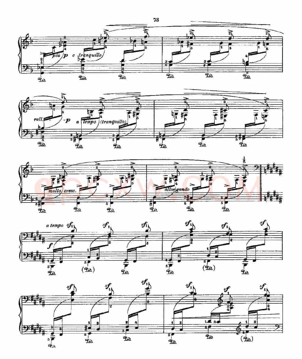 肖邦《练习曲》Fr.Chopin Op.25 No3-2