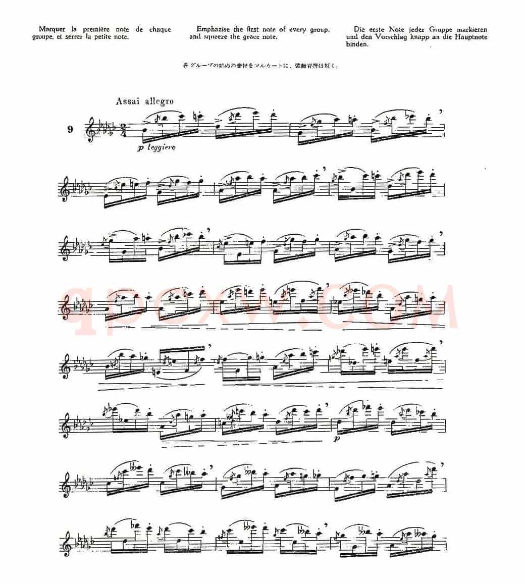 12首大技巧练习曲之9