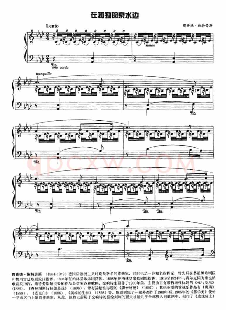 现代钢琴曲：16、在孤独的泉水边