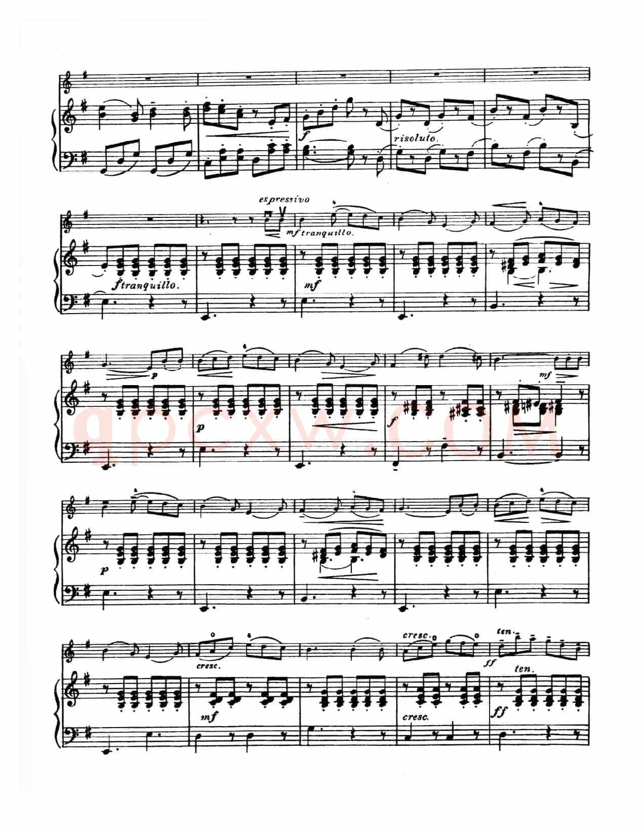 G大调学生协奏曲（塞茨作品第13号）