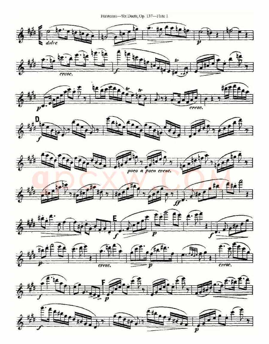 Six Duets, Op.137 之六（二重奏 六首作品 137号）