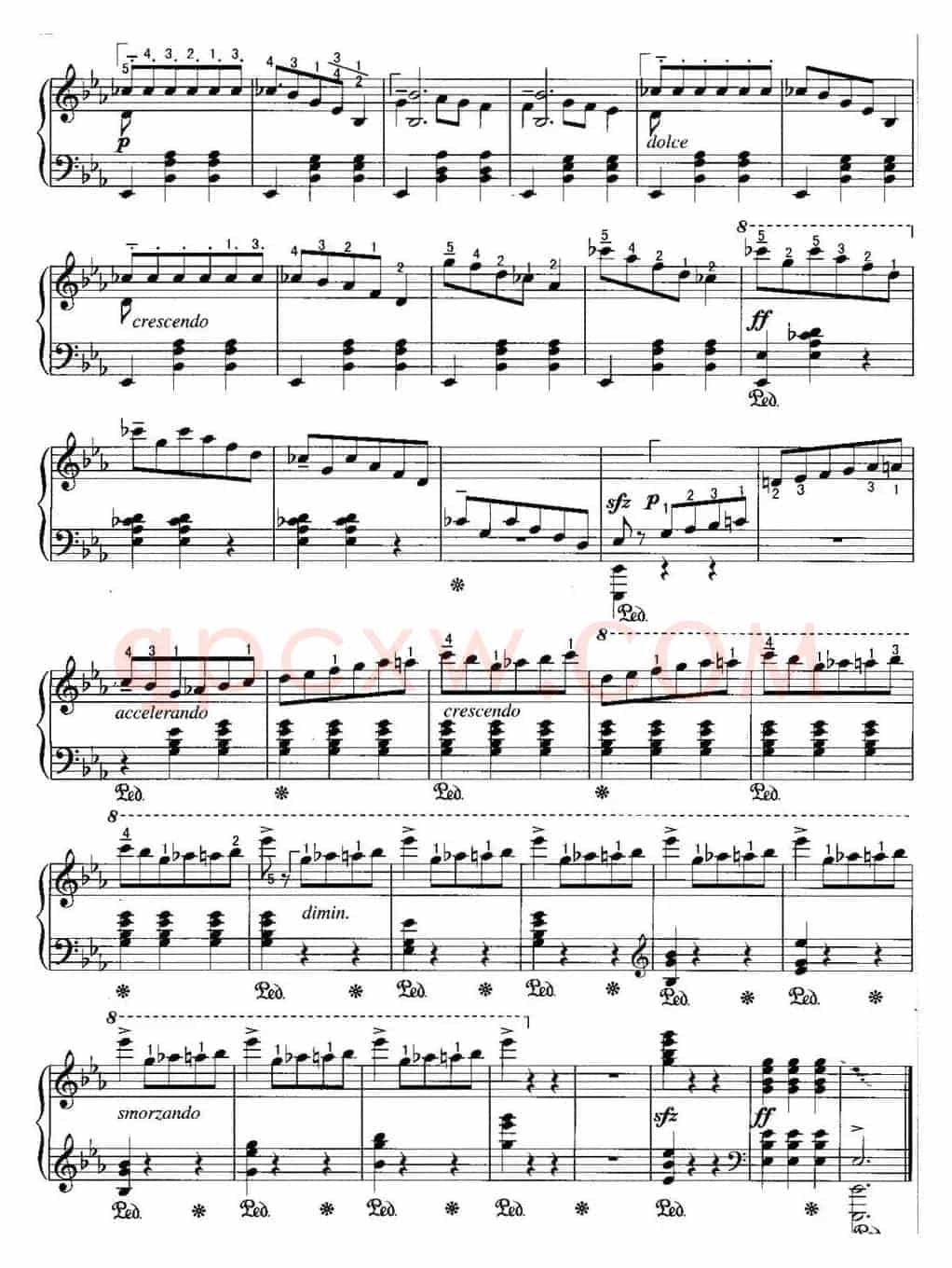 不可不弹的世界钢琴名曲：辉煌的大圆舞曲