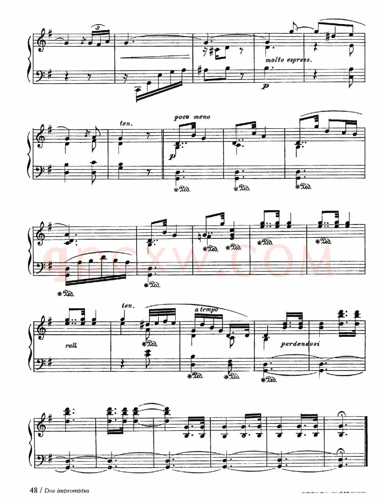 Impromptu De La Codorniz(少女即兴曲)
