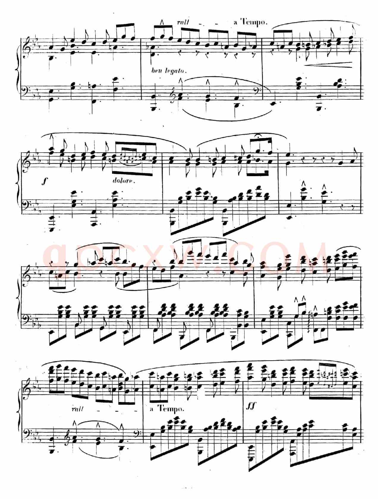 Caprice Etude de Concert