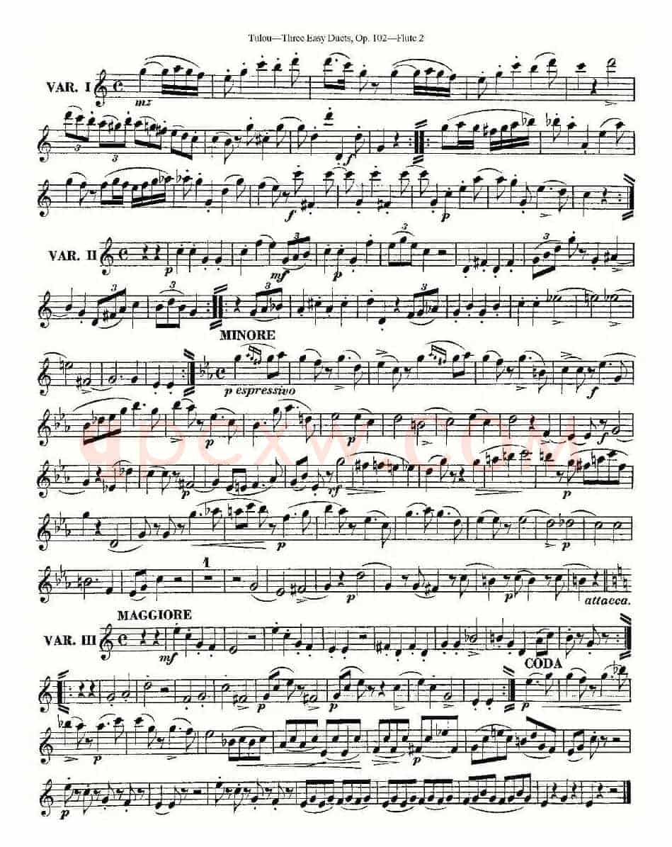 Three Easy Duets,Op.102 之第二长笛（三首简易重奏曲作品102号）