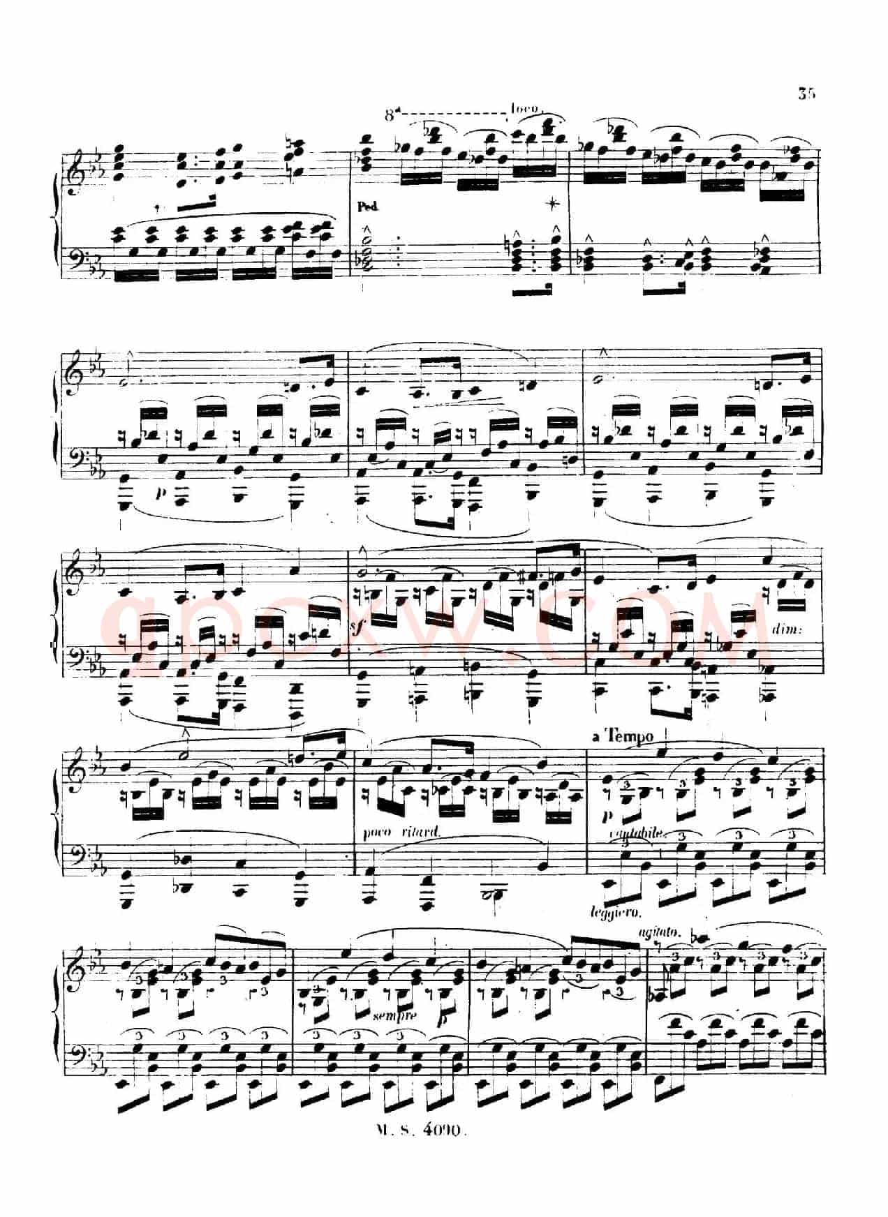 c小调钢琴奏鸣曲 （Piano Sonata in c Minor Op.56）
