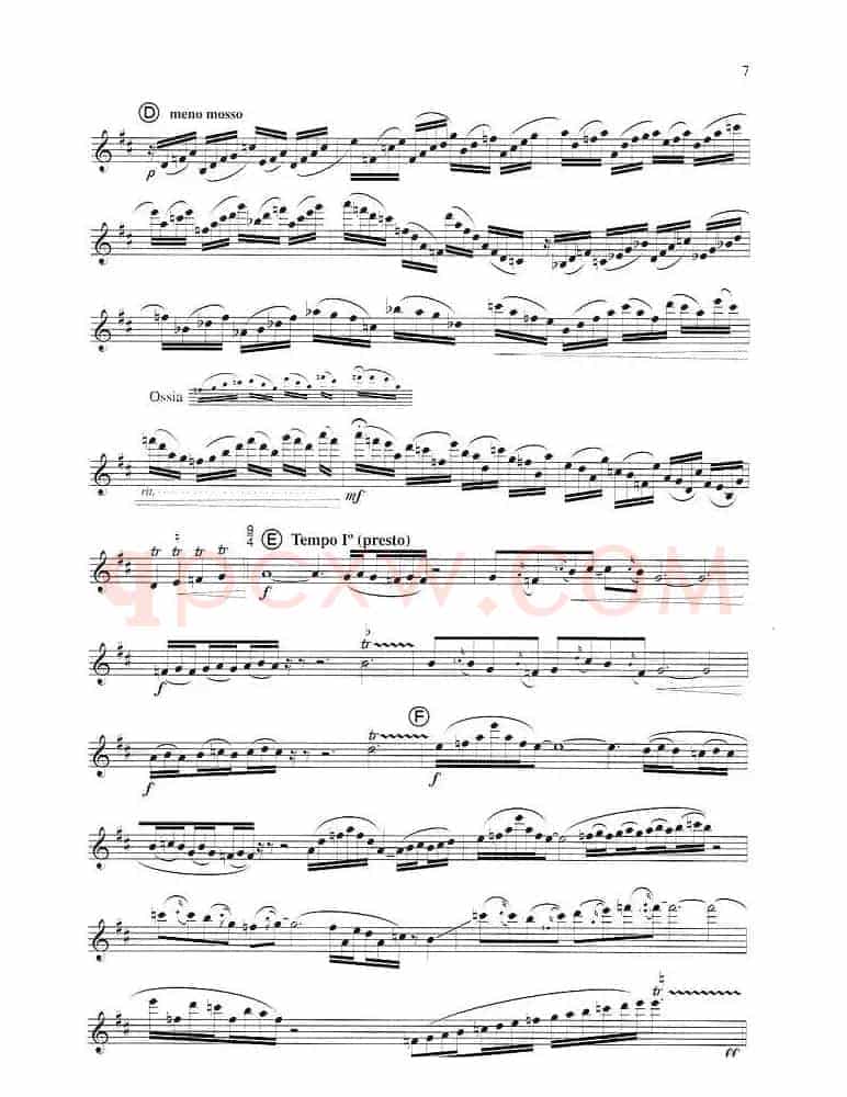 须川展也的《Fuzzy Bird Sonata》（Fly, Bird)毛绒鸟奏鸣曲之）
