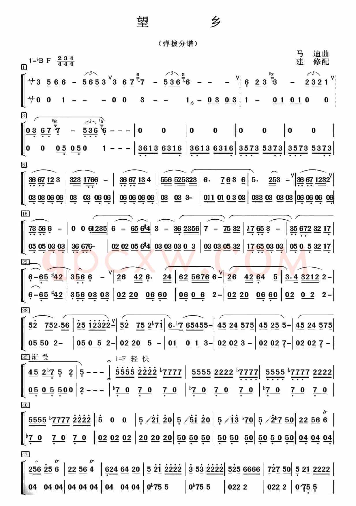 望乡（笛子独奏+乐队伴奏弹拨分谱）