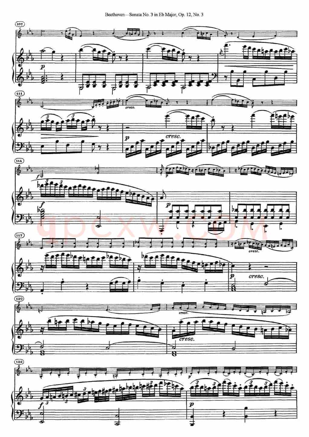 Violin Sonata No.3 in Eb Major Op.12 No.3（小提琴+钢琴伴奏）