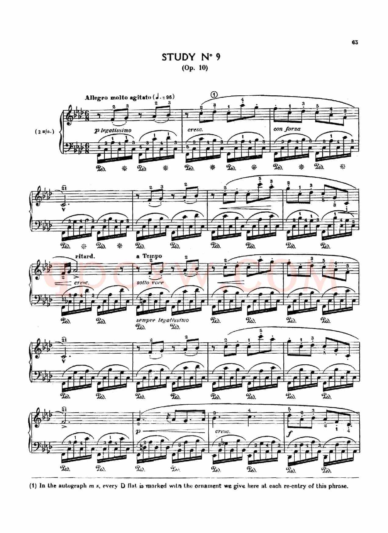 12 Etudes Op.10 柯尔托教学版(12首练习曲·9)
