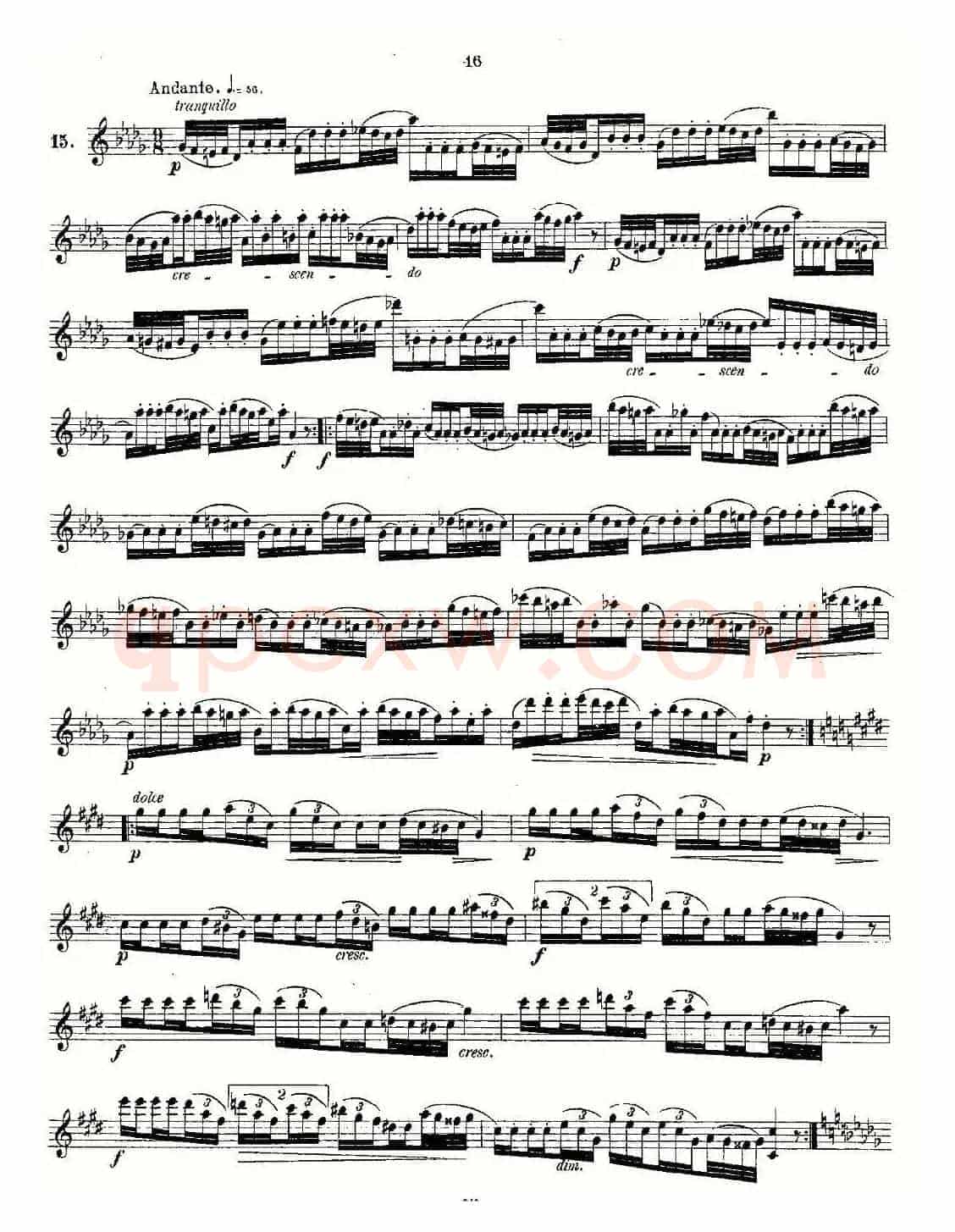 Andersen etude op30 之13—24（练习曲作品30号）