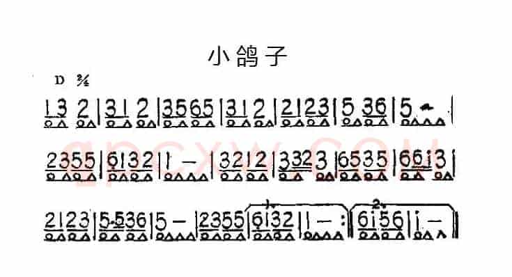 小鸽子