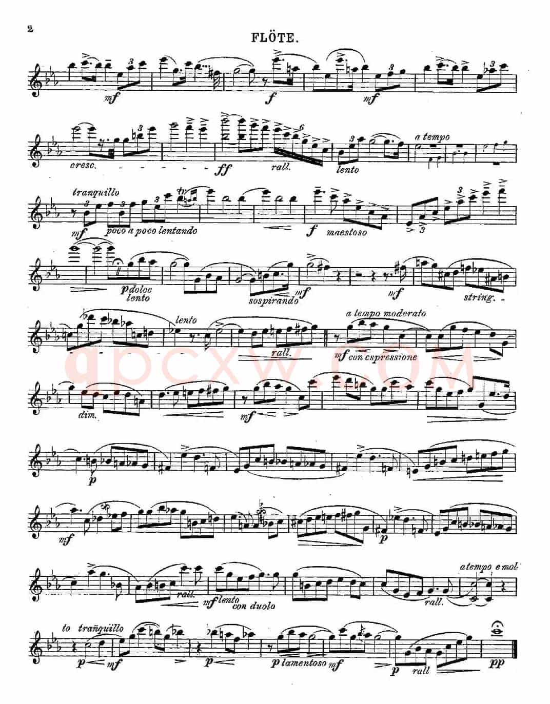 Legende（Op.55 No.5）