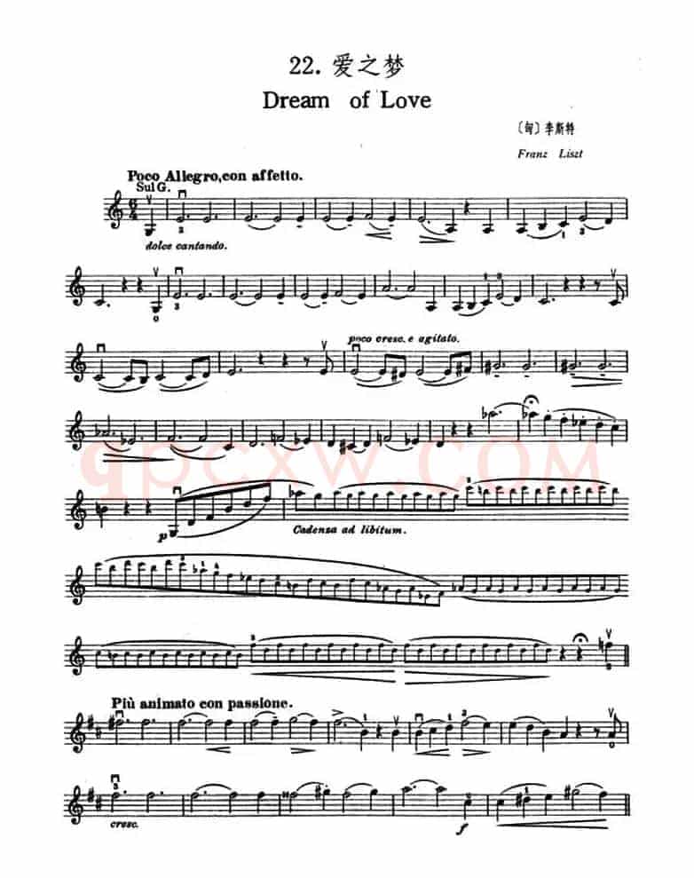 Dream of Love（爱之梦）
