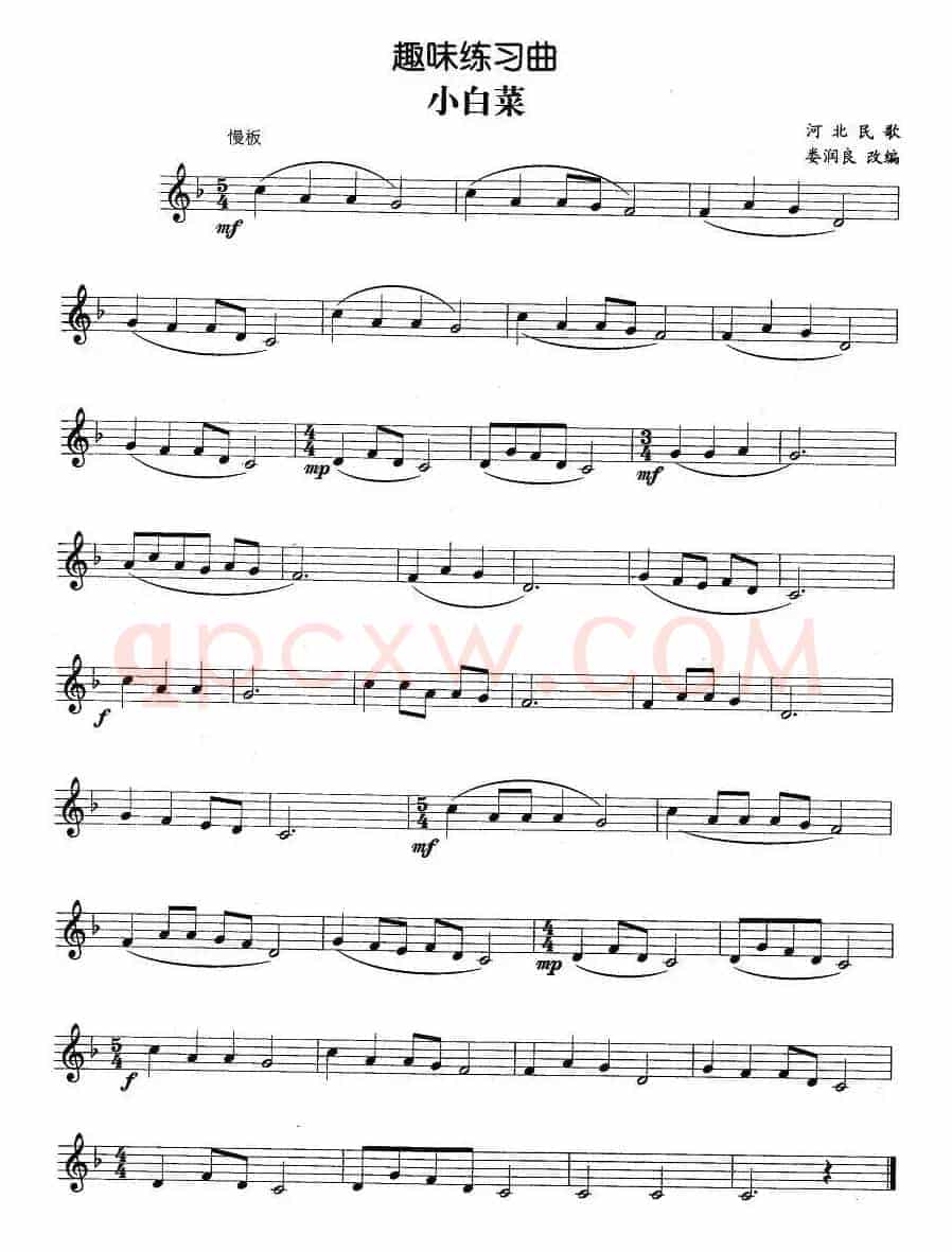 趣味练习曲：小白菜