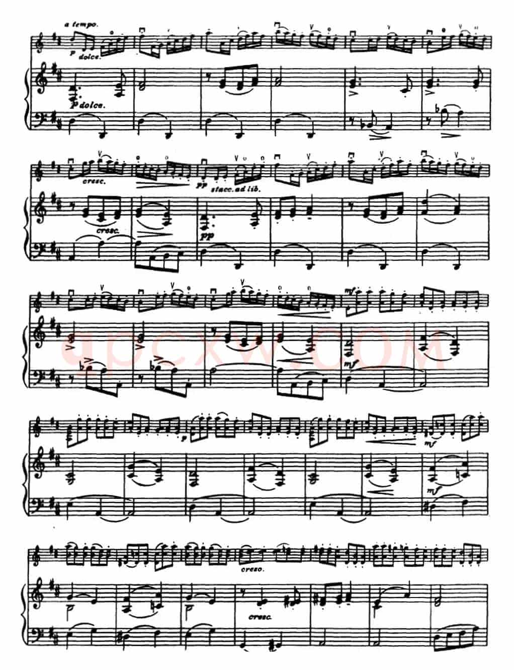 塞茨初级小提琴协奏曲Op.22（D大调学生协奏曲）