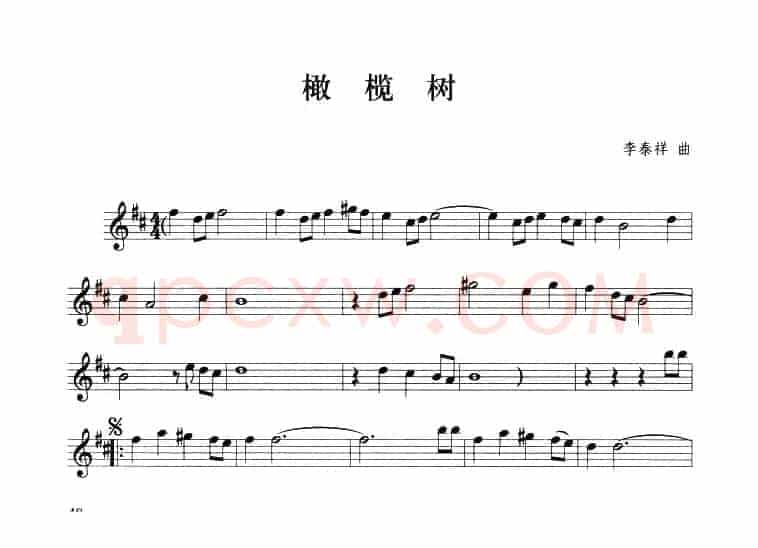 橄榄树