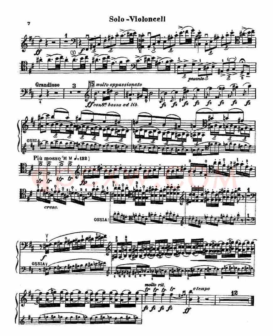 CELLO CONCERTO in B minor（大提琴）