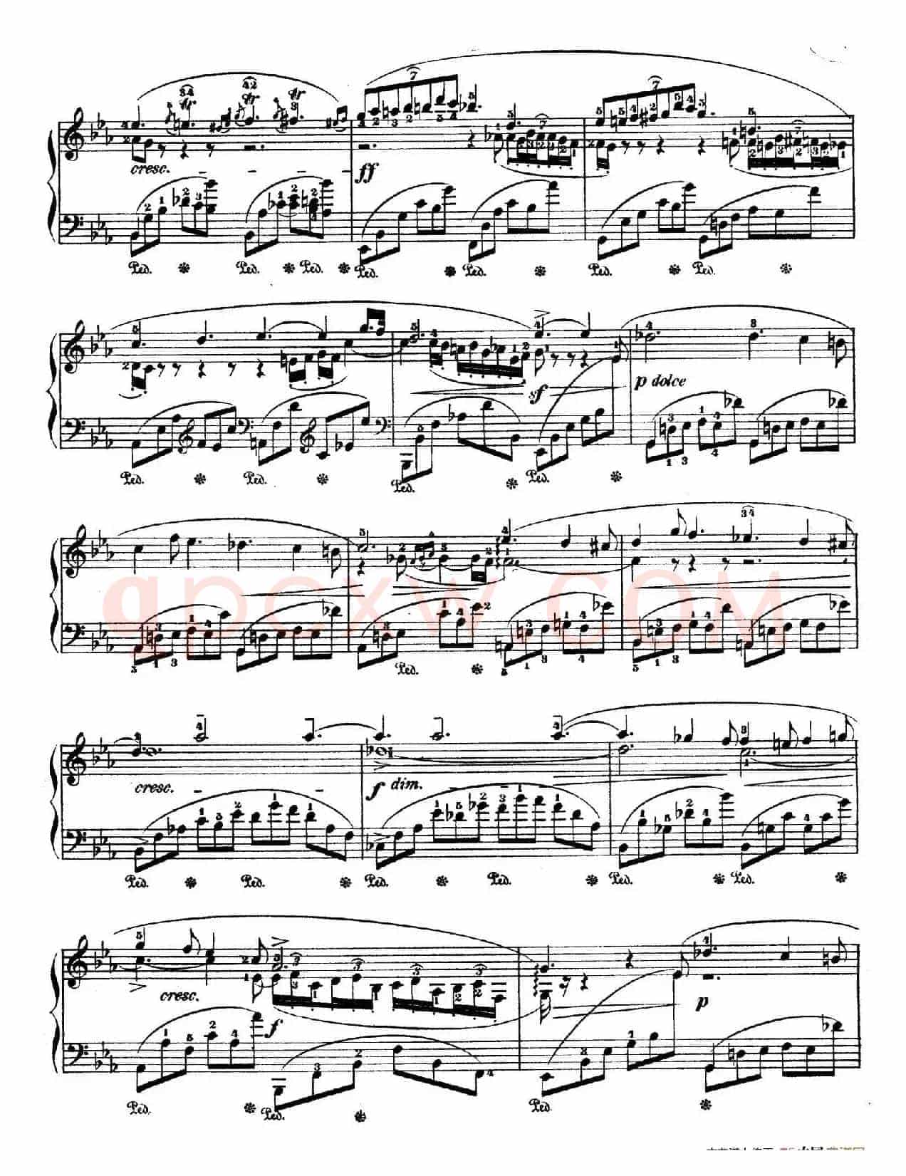 Deux Nocturnes Op.55 (2首夜曲·2)