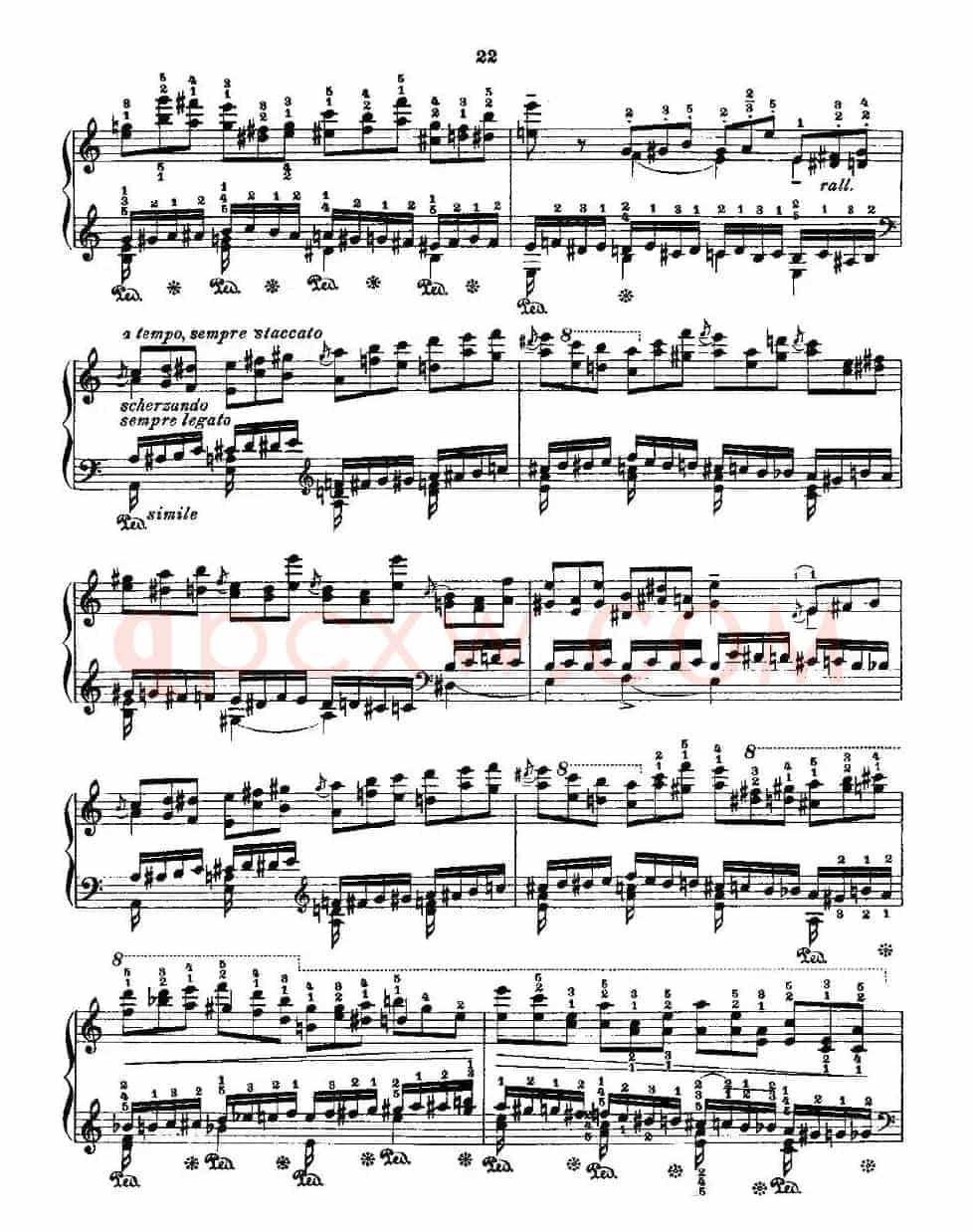 肖邦《练习曲》Fr.Chopin Op.10 No2-2