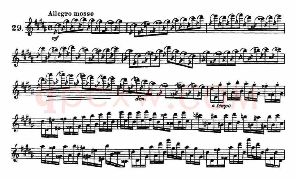 柯勒30首高级长笛练习曲作品75号（NO.29）