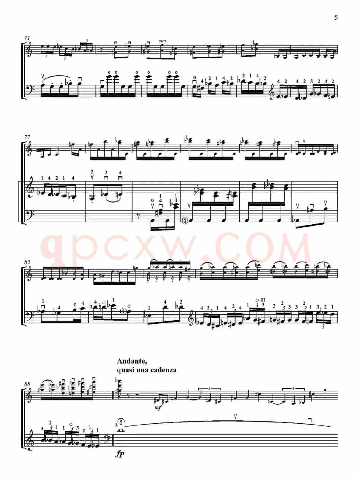 Duo concertante（炫技二重奏）（小提琴+低音提琴二重奏）