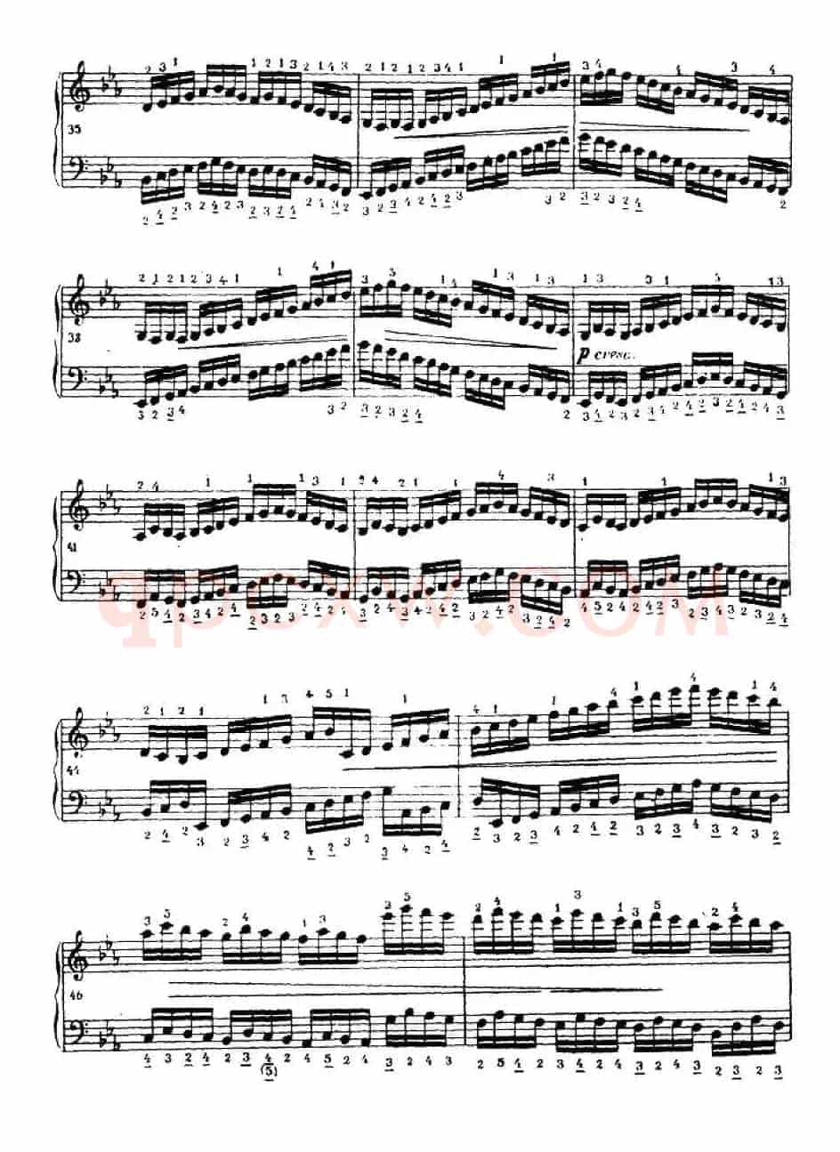手风琴练习曲（3）