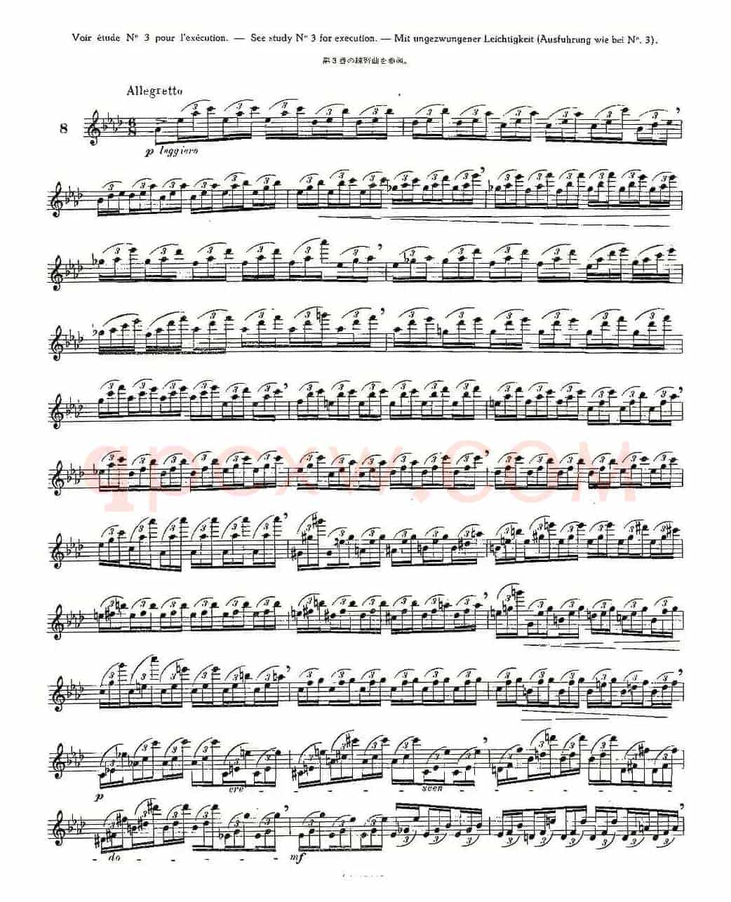 12首大技巧练习曲之8