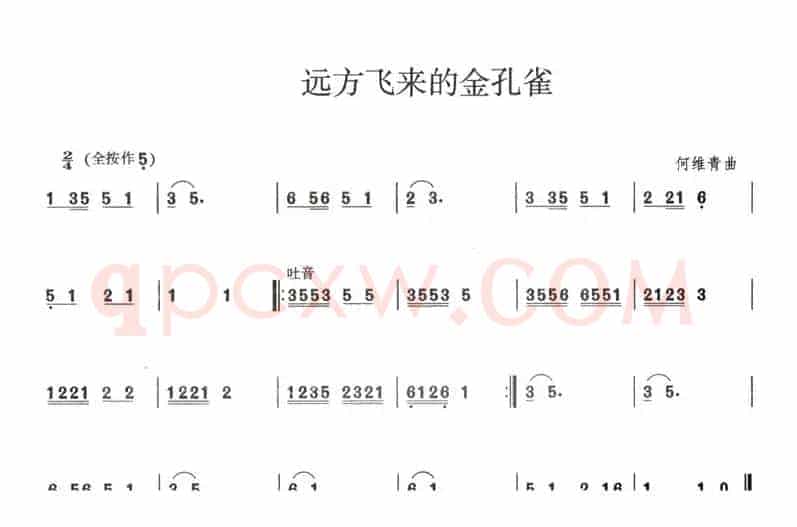 远方飞来的金孔雀