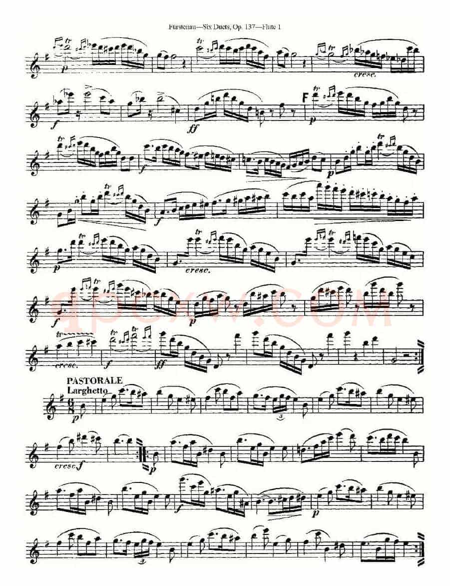 Six Duets, Op.137 之二（二重奏 六首作品 137号）