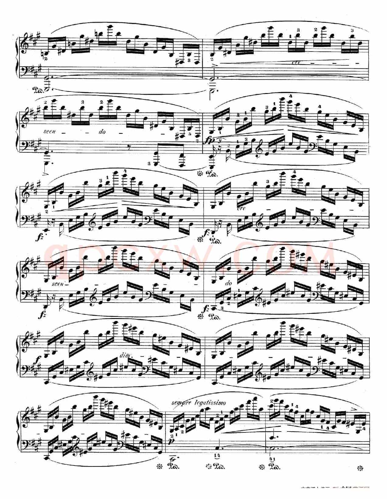 Grand Fantasy on Polish Airs Op.13（华丽的波兰民歌幻想曲·钢琴独奏版）