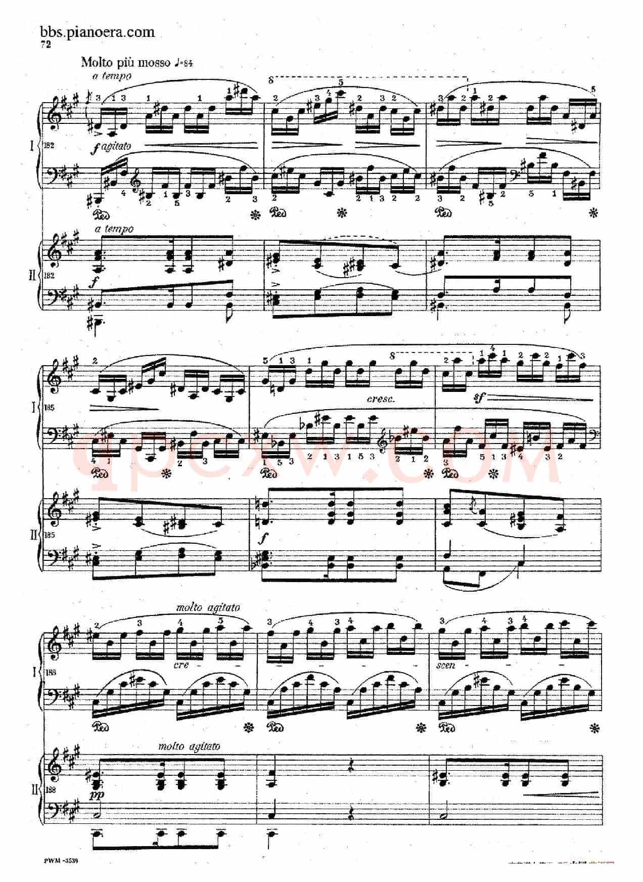 Grand Fantasy on Polish Airs Op.13(华丽的波兰民歌幻想曲·双钢琴版)