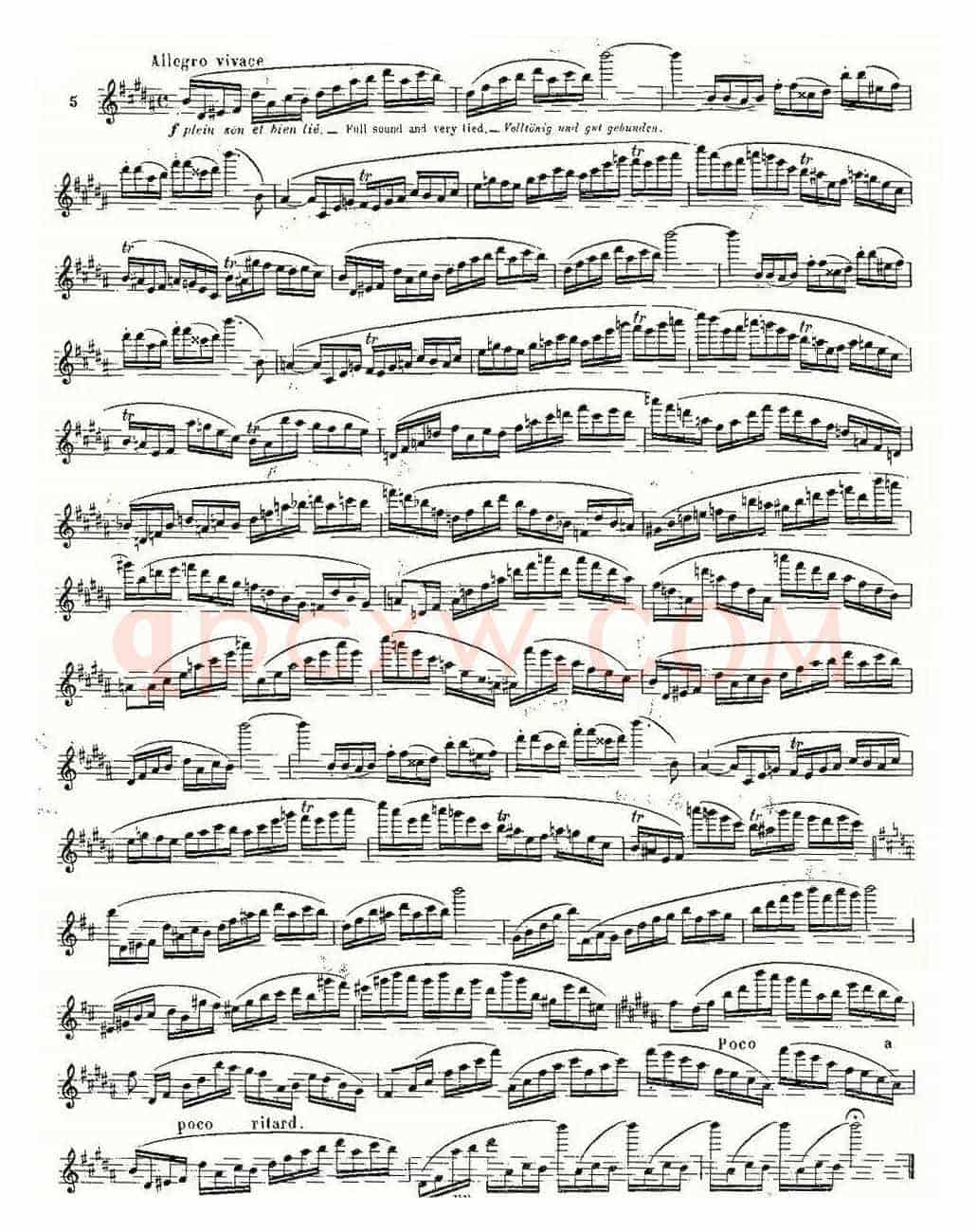 基于维尼亚夫斯基练习曲的10首长笛练习曲之5（Moyse - 10 Studies After Wieniawski）