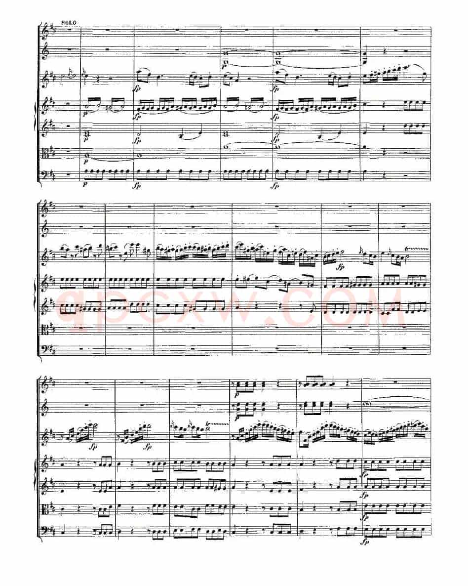 Concerto in D for Flute, K.314(D大调长笛协奏曲)