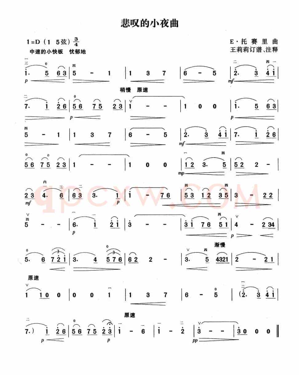 悲叹的小夜曲