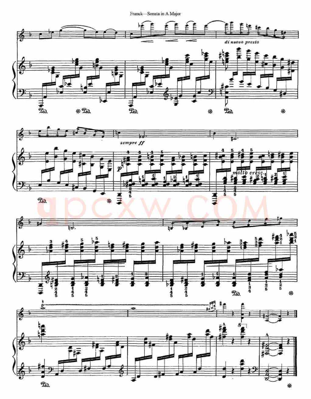 Franck Sonata in A Major（小提琴+钢琴伴奏）