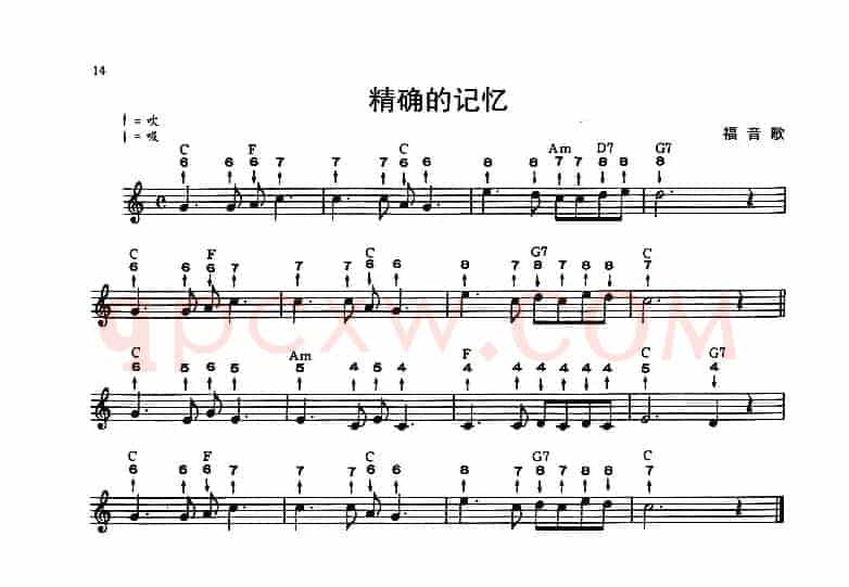 精确的记忆（布鲁斯）