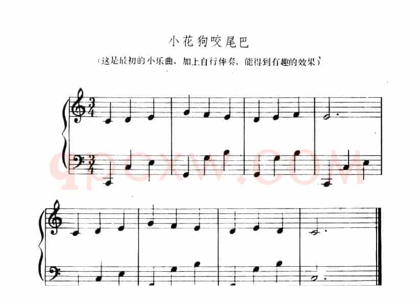 小花狗咬尾巴